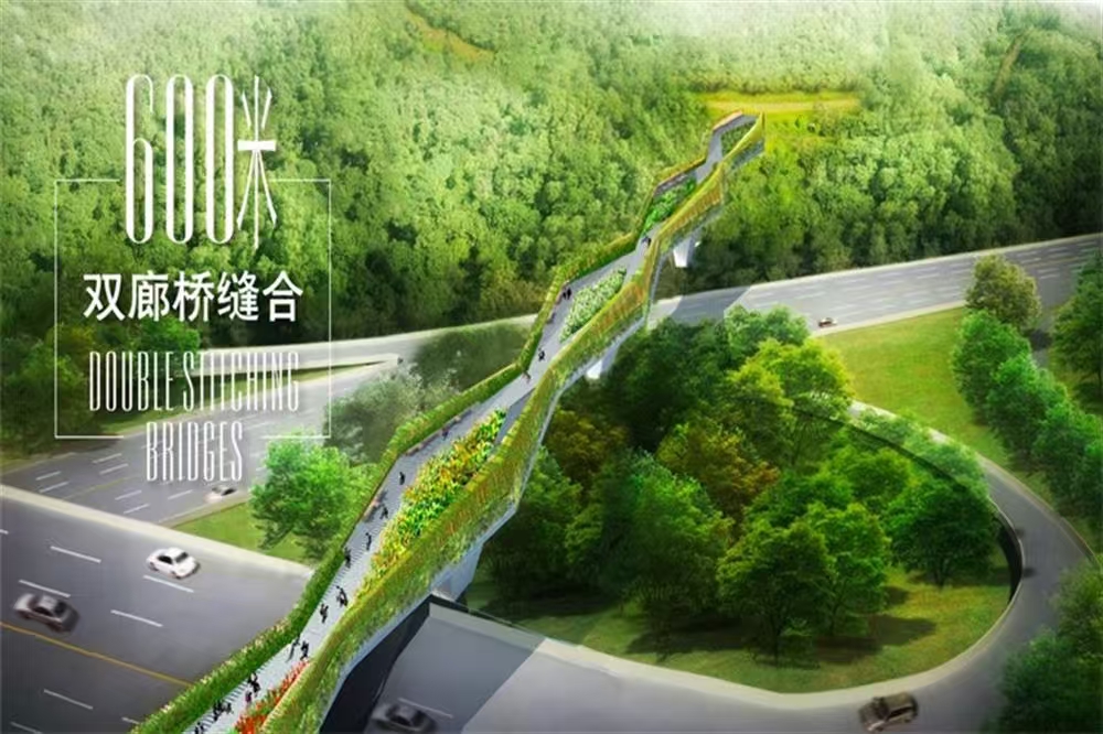 1745464971249934.jpg 9f38174aa5fb6b6d43dad31d147c8ab.jpg