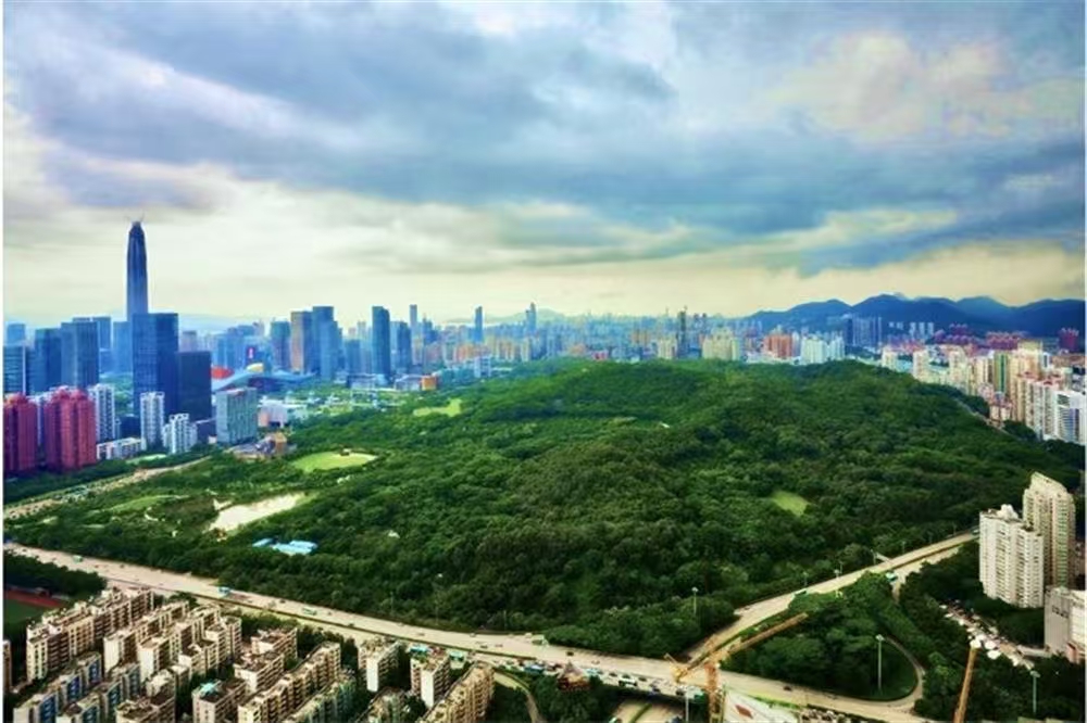 1745464998156757.jpg 2b90724a814d8b937989e6c1d407aa8.jpg