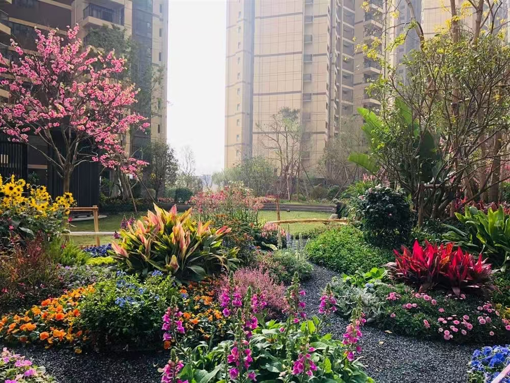 1746157566366275.jpg 4daaf64caf7e930e03246bcf7e03ad3.jpg