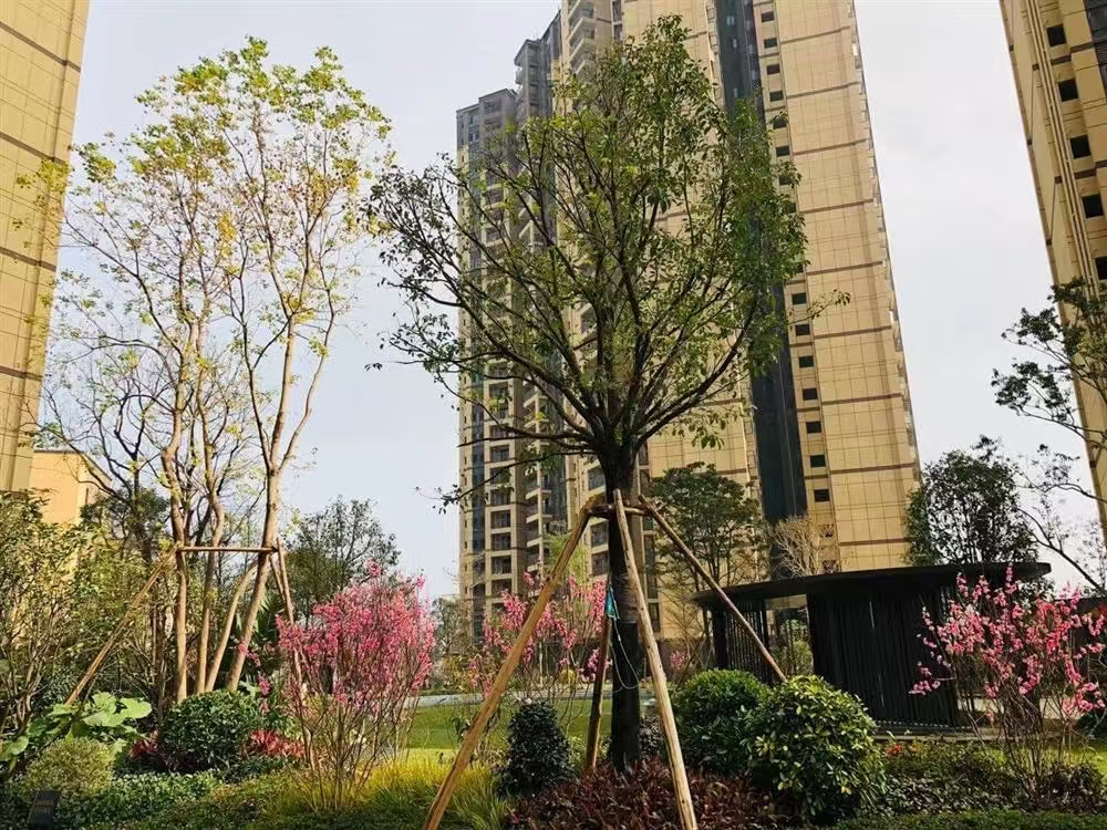 1746157577559286.jpg bfb6bb8f0eef076deac1ebd6dbeb63f.jpg