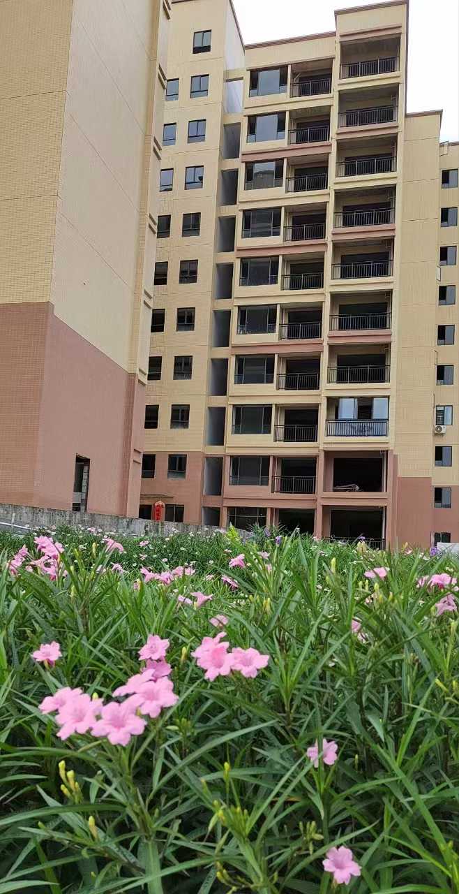 1769678526273737.jpg 65377139ab1816eabb3f49bbd2edb4da.jpg