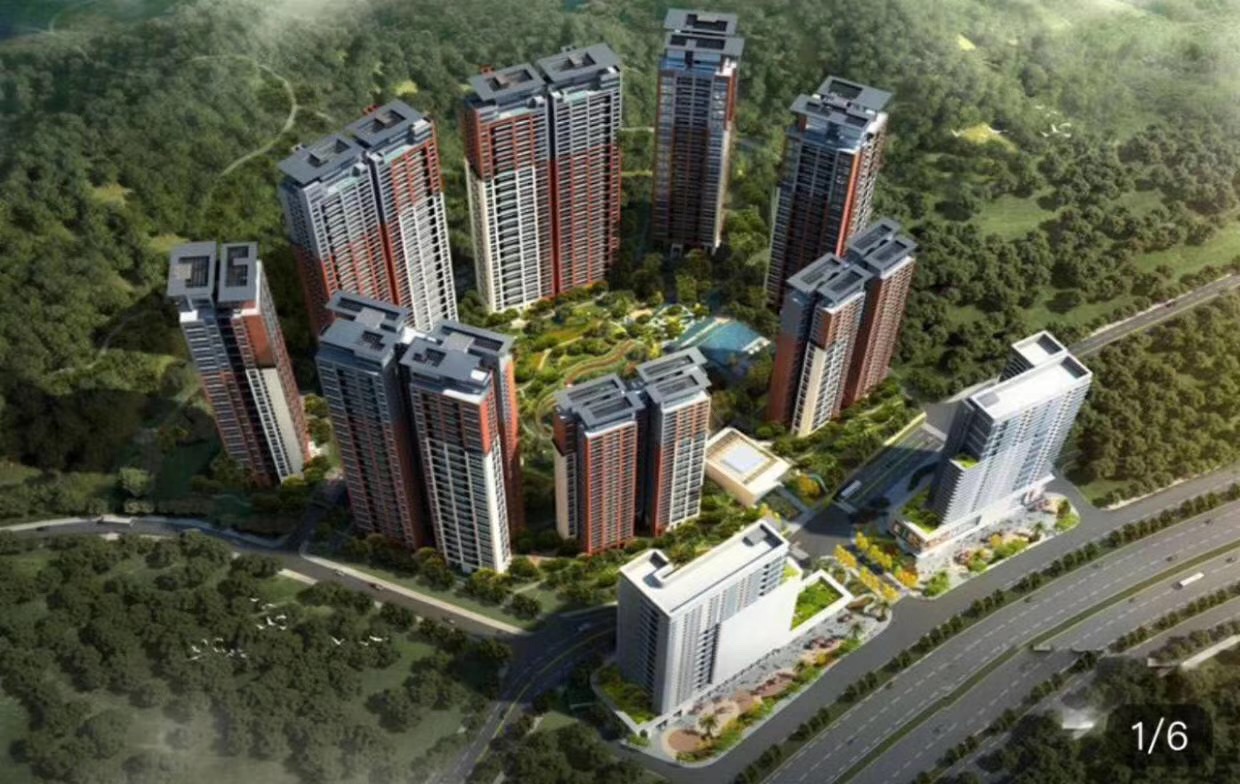 龍華大型統建樓