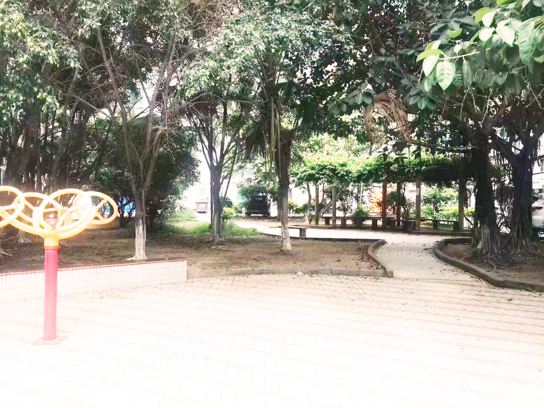 深圳寶安小產(chǎn)權(quán)房|新城芳花園 79.8萬/套 地鐵口300米